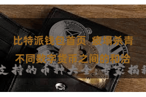比特派钱包首页  疲塌杀青不同数字货币之间的和洽