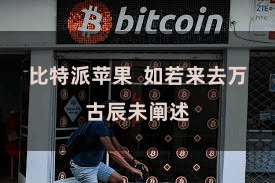 比特派苹果  如若来去万古辰未阐述