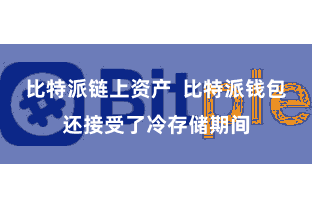 比特派链上资产  比特派钱包还接受了冷存储期间