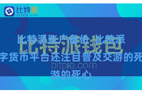 比特派账户备份  比特派数字货币平台还注目普及交游的死心